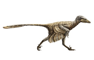 Misha Baldachin – Feathered Dinosaurs, Auszug 05