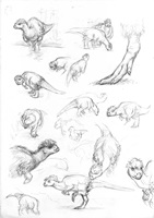 Misha Baldachin – Feathered Dinosaurs, Auszug 07