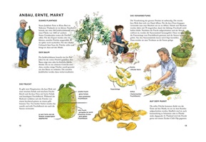 Nicole Gämperli – Süss & knackig: Die Jackfruit und andere Exoten, Auszug 04