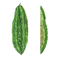 Nicole Gämperli – Süss & knackig: Die Jackfruit und andere Exoten, Auszug 08