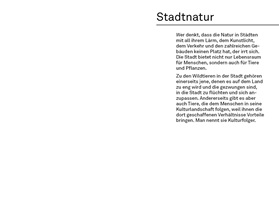 Andrea Bieri – Wildes Luzern, Auszug 05