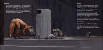 Andrea Bieri – Wildes Luzern, Auszug 06