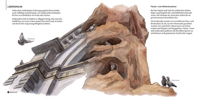 Andrea Bieri – Wildes Luzern, Auszug 08