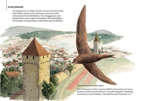 Andrea Bieri – Wildes Luzern, Auszug 10