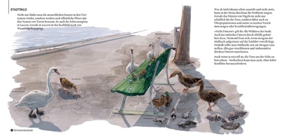 Andrea Bieri – Wildes Luzern, Auszug 11