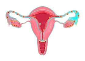 Anna Schmid – Mutter & Natur, Auszug 05