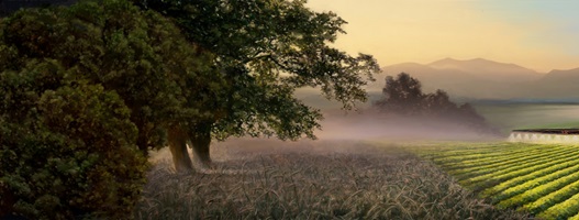 Dario Stadelmann – Das Insektensterben, Auszug 01