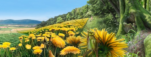 Dario Stadelmann – Das Insektensterben, Auszug 03