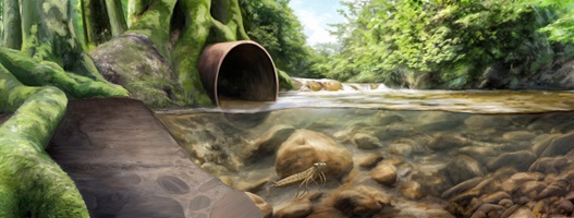 Dario Stadelmann – Das Insektensterben, Auszug 04