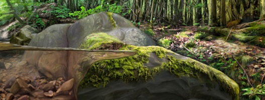 Dario Stadelmann – Das Insektensterben, Auszug 05