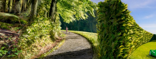 Dario Stadelmann – Das Insektensterben, Auszug 06