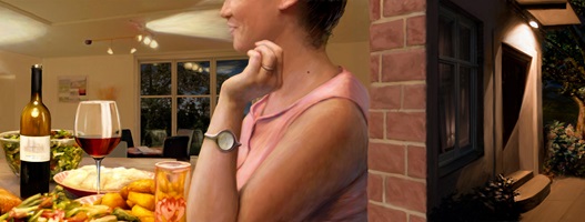 Dario Stadelmann – Das Insektensterben, Auszug 08