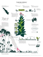 Iris Weidmann – Patumbah, Auszug 05