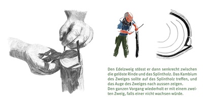 Apfel Unser – Aline Flach