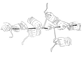 Apfel Unser – Aline Flach