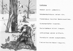 Die Kastanie – Julia Saurer