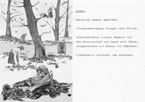 Die Kastanie – Julia Saurer