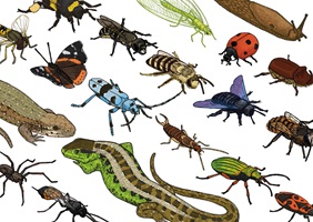 Ein Hochhaus für Tiere – Yolanda Keiser