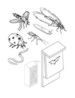 Ein Hochhaus für Tiere – Yolanda Keiser