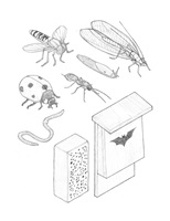 Ein Hochhaus für Tiere – Yolanda Keiser