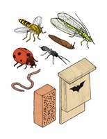 Ein Hochhaus für Tiere – Yolanda Keiser