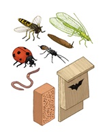 Ein Hochhaus für Tiere – Yolanda Keiser