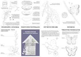 Eine Ausstellungstafel und verschiedene Illustrationen über Wildkräuter, insbesondere Spitzwegerich, Löwenzahn, Brennnessel und Bärlauch. Die Gestaltung kombiniert detailreiche Schwarz-Weiss-Skizzen und farbige Illustrationen, ergänzt durch erklärende Texte. Im Vordergrund ein Faltheft in der Hand, das mit klaren Grafiken den praktischen Gebrauch der Pflanzen darstellt.