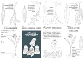 Eine Ausstellungstafel und verschiedene Illustrationen über Wildkräuter, insbesondere Spitzwegerich, Löwenzahn, Brennnessel und Bärlauch. Die Gestaltung kombiniert detailreiche Schwarz-Weiss-Skizzen und farbige Illustrationen, ergänzt durch erklärende Texte. Im Vordergrund ein Faltheft in der Hand, das mit klaren Grafiken den praktischen Gebrauch der Pflanzen darstellt.