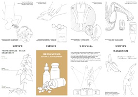 Eine Ausstellungstafel und verschiedene Illustrationen über Wildkräuter, insbesondere Spitzwegerich, Löwenzahn, Brennnessel und Bärlauch. Die Gestaltung kombiniert detailreiche Schwarz-Weiss-Skizzen und farbige Illustrationen, ergänzt durch erklärende Texte. Im Vordergrund ein Faltheft in der Hand, das mit klaren Grafiken den praktischen Gebrauch der Pflanzen darstellt.
