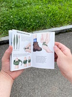 Eine Ausstellungstafel und verschiedene Illustrationen über Wildkräuter, insbesondere Spitzwegerich, Löwenzahn, Brennnessel und Bärlauch. Die Gestaltung kombiniert detailreiche Schwarz-Weiss-Skizzen und farbige Illustrationen, ergänzt durch erklärende Texte. Im Vordergrund ein Faltheft in der Hand, das mit klaren Grafiken den praktischen Gebrauch der Pflanzen darstellt.