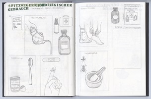 Eine Ausstellungstafel und verschiedene Illustrationen über Wildkräuter, insbesondere Spitzwegerich, Löwenzahn, Brennnessel und Bärlauch. Die Gestaltung kombiniert detailreiche Schwarz-Weiss-Skizzen und farbige Illustrationen, ergänzt durch erklärende Texte. Im Vordergrund ein Faltheft in der Hand, das mit klaren Grafiken den praktischen Gebrauch der Pflanzen darstellt.