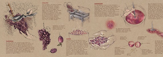 Illustration der Weinherstellung: von der Traubenlese über das Entrappen und Maischen bis zur Gärung, Lagerung im Holzfass, Filtern und Abfüllen. Gezeigt werden Hände bei der Arbeit, Geräte wie Kelter, Fässer und Kalenderblätter, die den Reifeprozess symbolisieren. Detaillierte Zeichnungen auf braunem Hintergrund veranschaulichen anschaulich die einzelnen Schritte der Vinifikation.