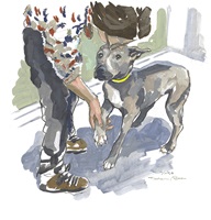 Illustrationen und Infografiken zu Listenhunden, ihren Eigenschaften, gesetzlichen Regelungen und ihrem gesellschaftlichen Kontext in der Schweiz.