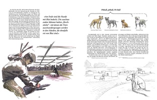 Illustrationen und Infografiken zu Listenhunden, ihren Eigenschaften, gesetzlichen Regelungen und ihrem gesellschaftlichen Kontext in der Schweiz.