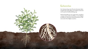 Illustrationen und Darstellungen von Alltagsobjekten, Tieren, Pflanzen, Landschaften oder Lebensmitteln, künstlerisch umgesetzt zur visuellen Vermittlung von Themen aus Natur, Gesellschaft und Kultur.