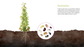 Illustrationen und Darstellungen von Alltagsobjekten, Tieren, Pflanzen, Landschaften oder Lebensmitteln, künstlerisch umgesetzt zur visuellen Vermittlung von Themen aus Natur, Gesellschaft und Kultur.