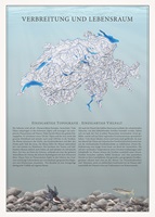Naturgetreue Illustrationen und Zeichnungen von Forellen und ihrem Lebensraum in der Schweiz, inklusive wissenschaftlicher Detailansichten und Informationsgrafiken.