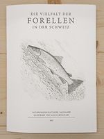 Naturgetreue Illustrationen und Zeichnungen von Forellen und ihrem Lebensraum in der Schweiz, inklusive wissenschaftlicher Detailansichten und Informationsgrafiken.