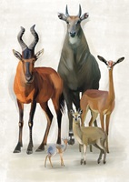 Illustration von Julia Hunziker