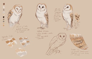 Illustration von Nora Beyl