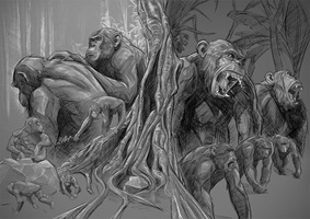 Illustration von Raphael Angst