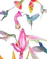 Illustration von Zsuzsa Suele