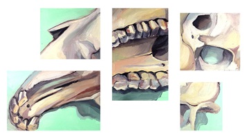 Illustration von Tobias Ryser