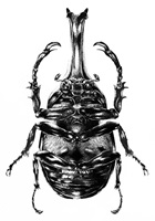 Illustration von Jana Gyger