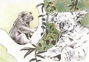 Illustration von Anja Muller