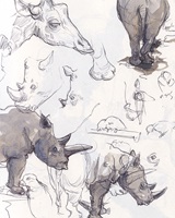 Illustration von Franziska Joller