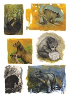 Illustration von Laura Stropkova