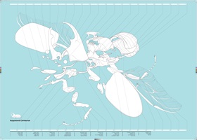 Explosionszeichnung eines Käfers