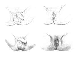 Manuel Ruoss – Vom Penis zur Vagina, Auszug 07
