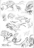 Misha Baldachin – Feathered Dinosaurs, Auszug 08